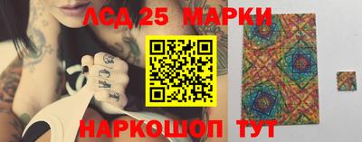 spice Сланцы