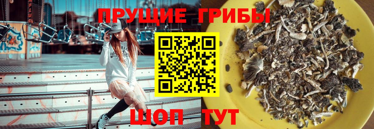 Галлюциногенные грибы мицелий Орск
