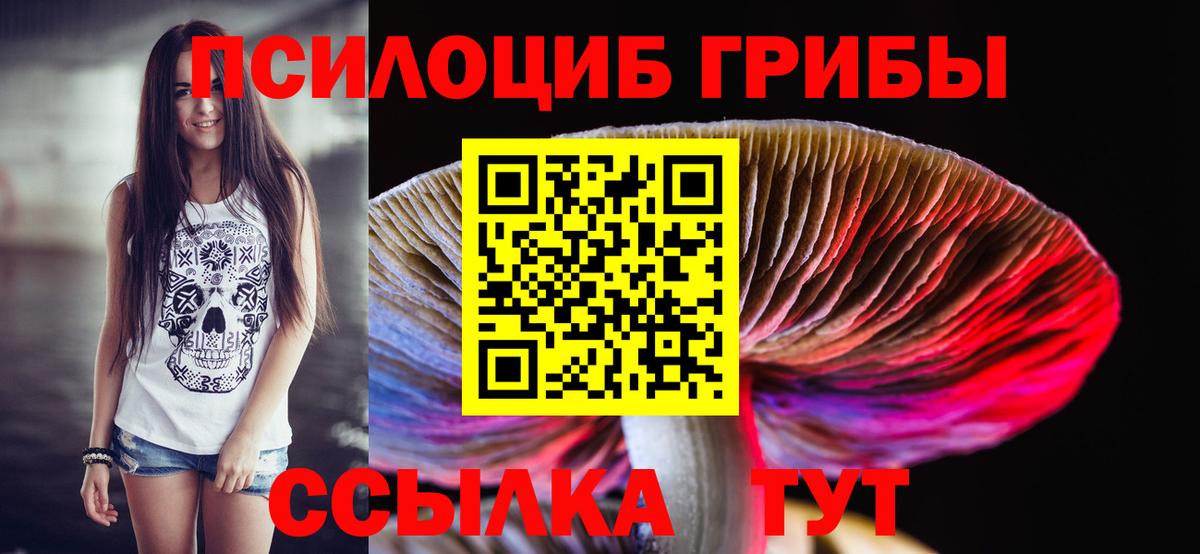 Галлюциногенные грибы мицелий  Вход с VPN  Орск  Псилоцибиновые грибы Magic Shrooms 